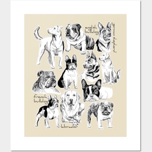 dogs Posters and Art